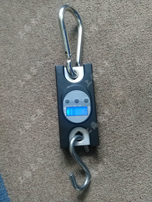 小量程無(wú)線推拉力計(jì)